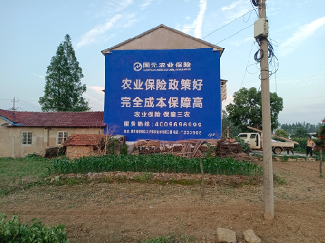 安康墙体广告的优劣势你知道吗？